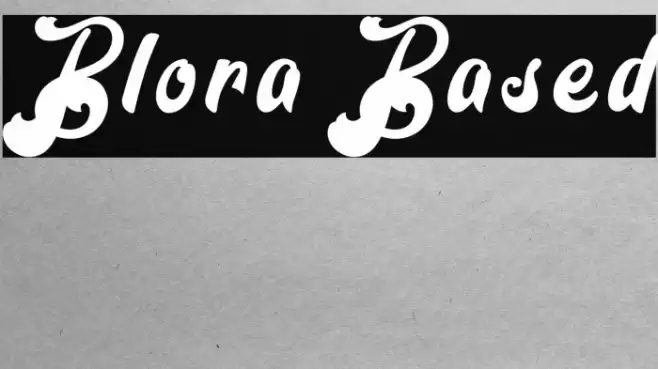 Blora Based Polices examples