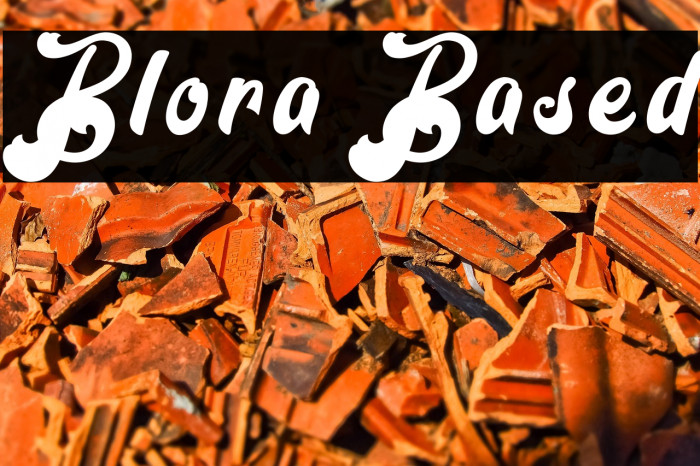 Blora Based Example 3