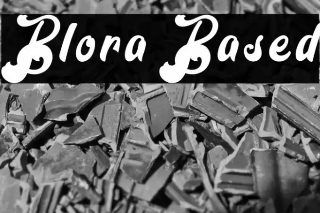 Blora Based Polices examples