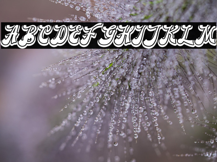 Blora-Shadow Example 3