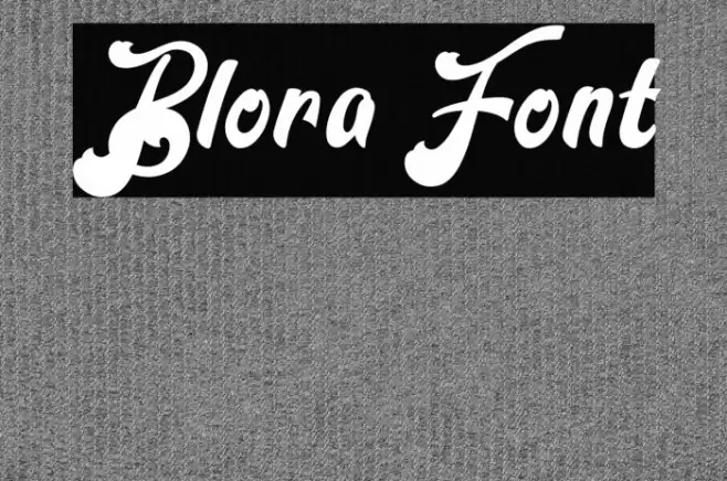 Blora Font examples