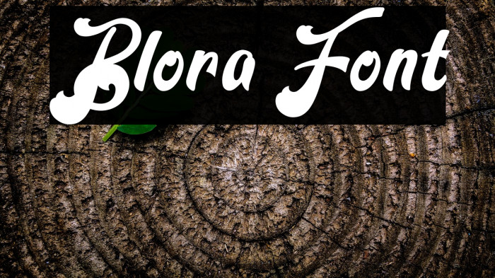Blora Example 3