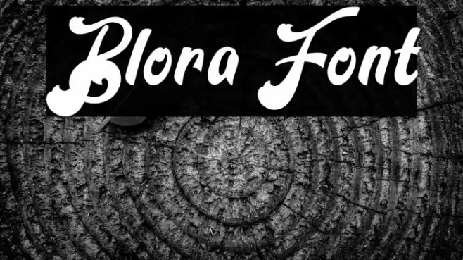 Blora Font examples