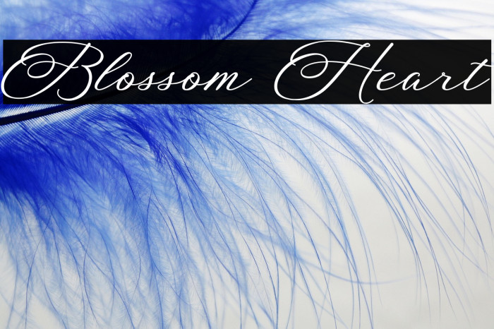 Blossom Heart Example 1