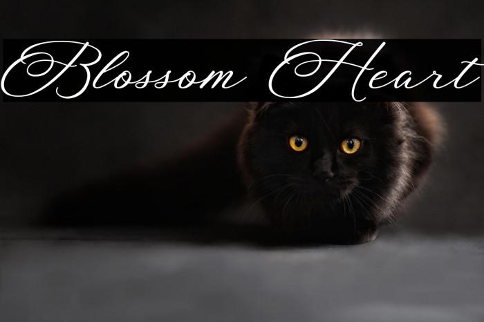 Blossom Heart Example 2