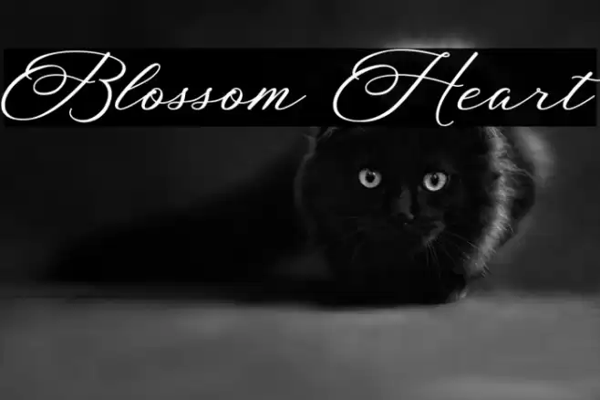 Blossom Heart Font examples