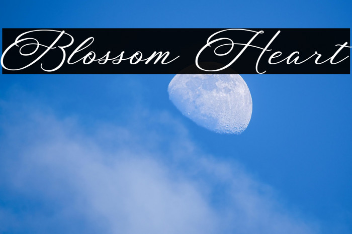 Blossom Heart Example 3