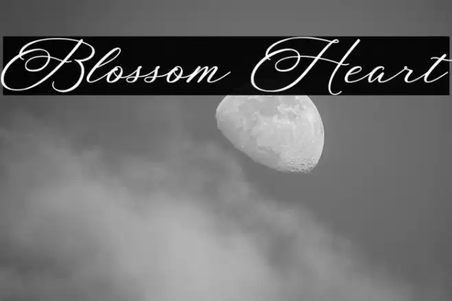 Blossom Heart Font examples