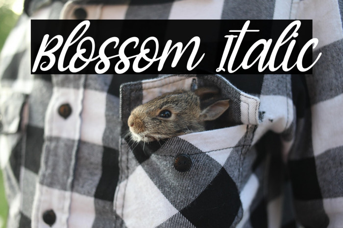 Blossom Italic Example 1