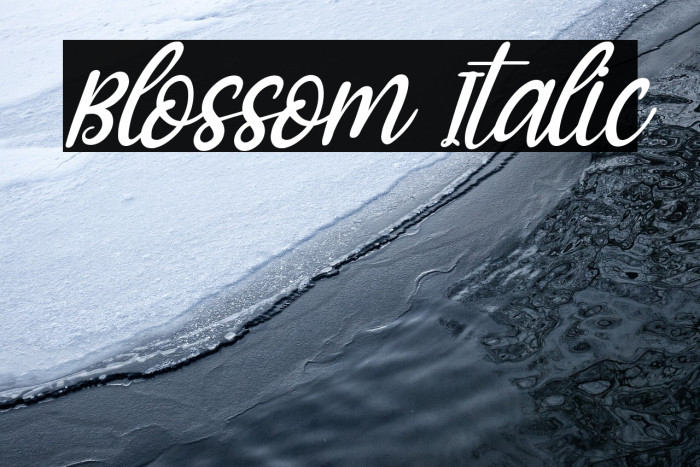 Blossom Italic Example 3