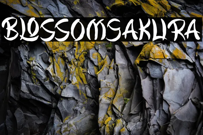 Blossom Sakura Example 2