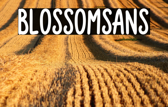 Blossom Sans Example 2