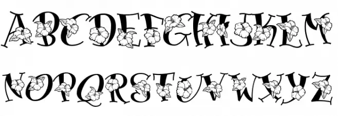 Blossom 字体 大写