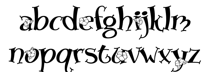Blossom Font LOWERCASE