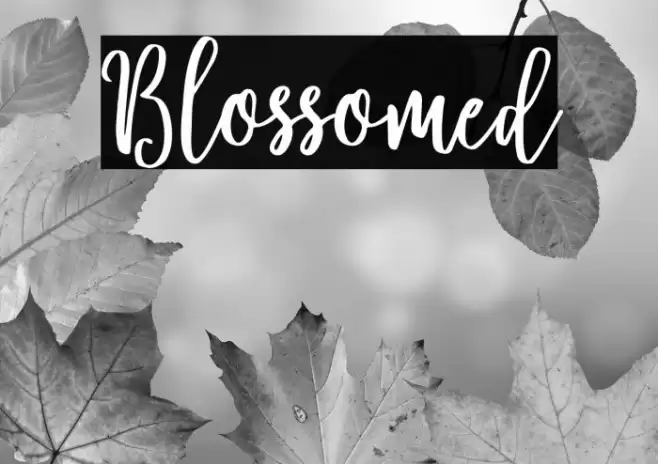 Blossomed Font examples