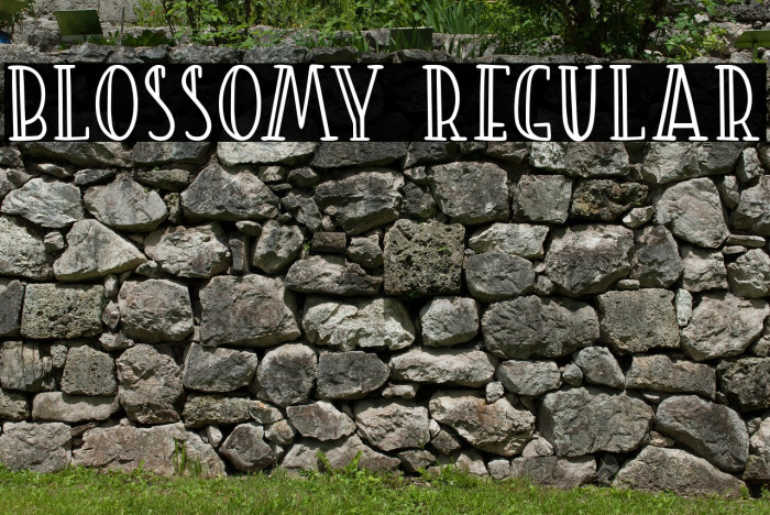 Blossomy Regular Example 1