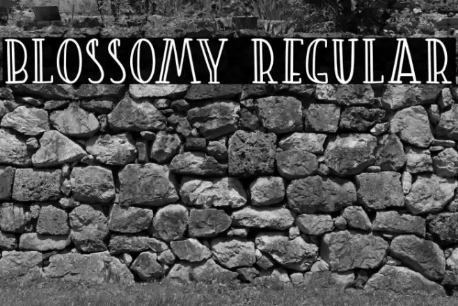 Blossomy Regular フォント examples