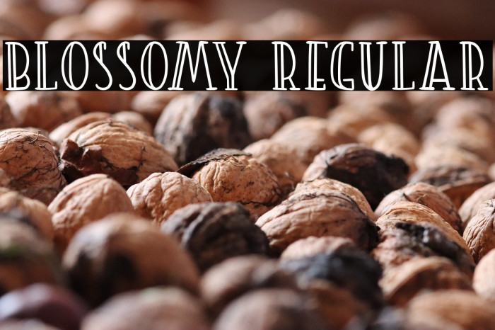 Blossomy Regular Example 2