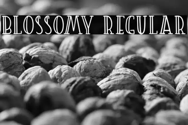 Blossomy Regular フォント examples