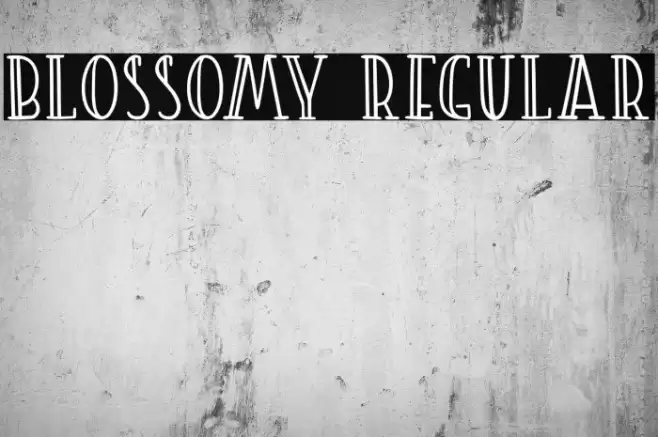 Blossomy Regular フォント examples