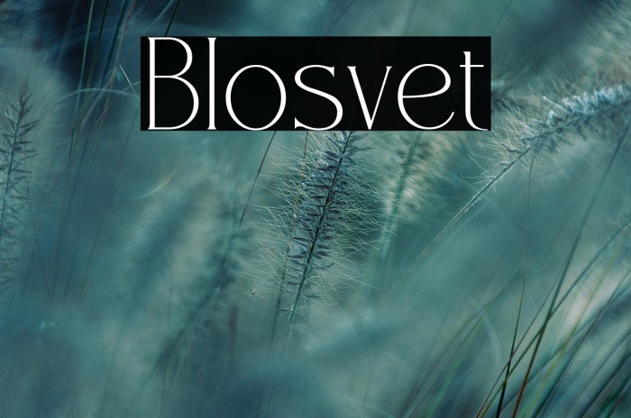 Blosvet Example 1