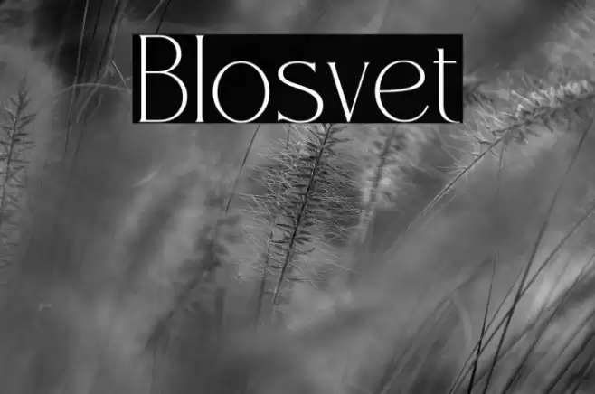 Blosvet Font examples