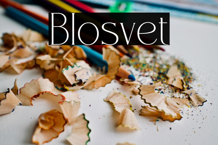 Blosvet Example 2