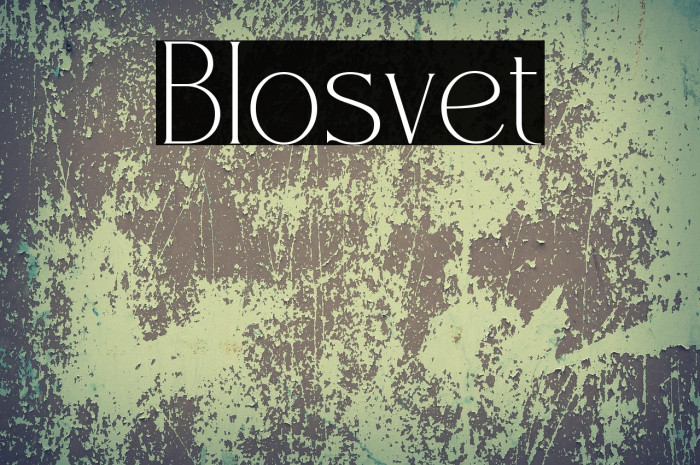 Blosvet Example 3