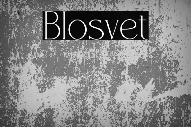 Blosvet Font examples