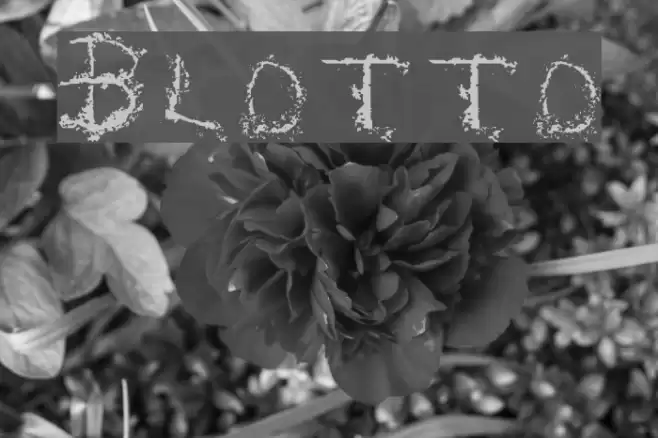 Blotto Font examples
