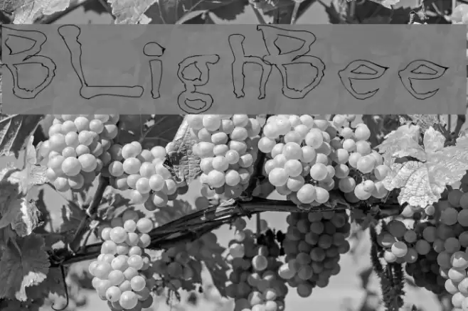 BlottoooLightBeer Font examples