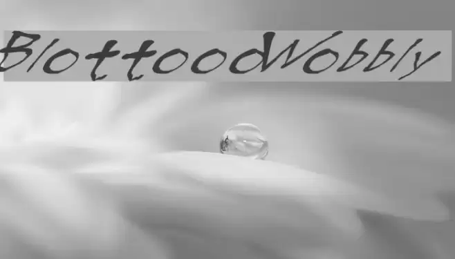 BlottoooWobbly Font examples