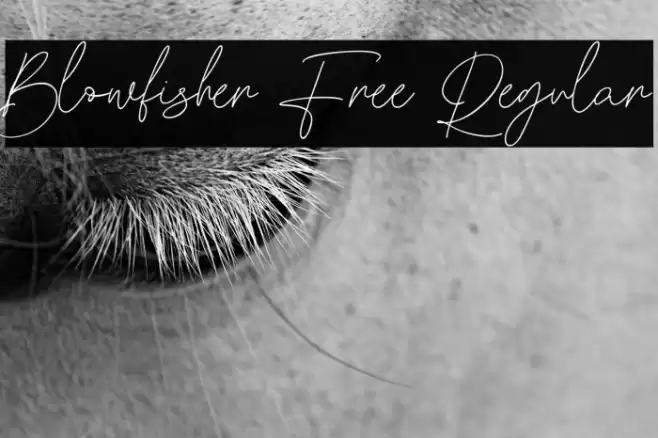 Blowfisher Free Regular Schriftart examples