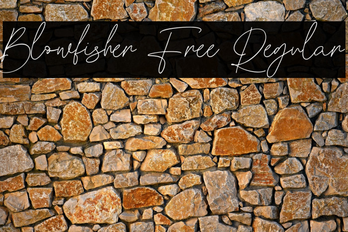 Blowfisher Free Regular Example 3