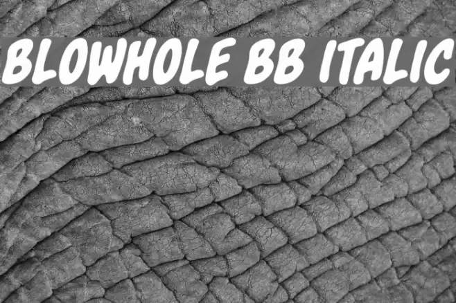 Blowhole BB Italic 字体 examples