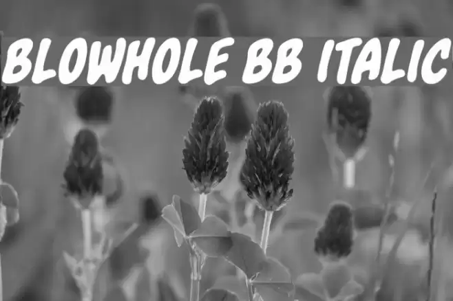 Blowhole BB Italic 字体 examples