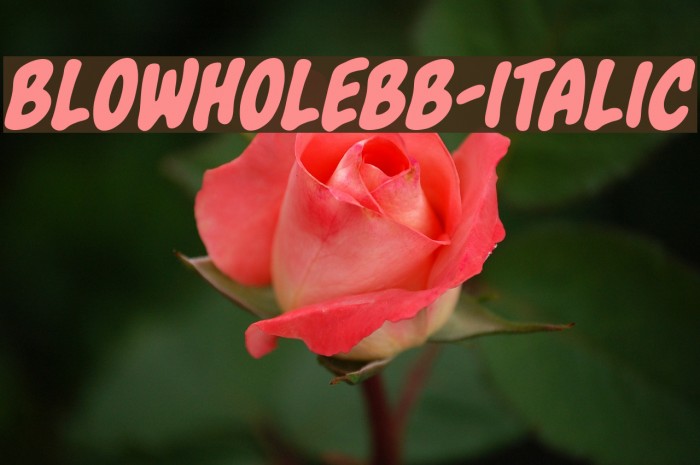 BlowholeBB-Italic Font examples