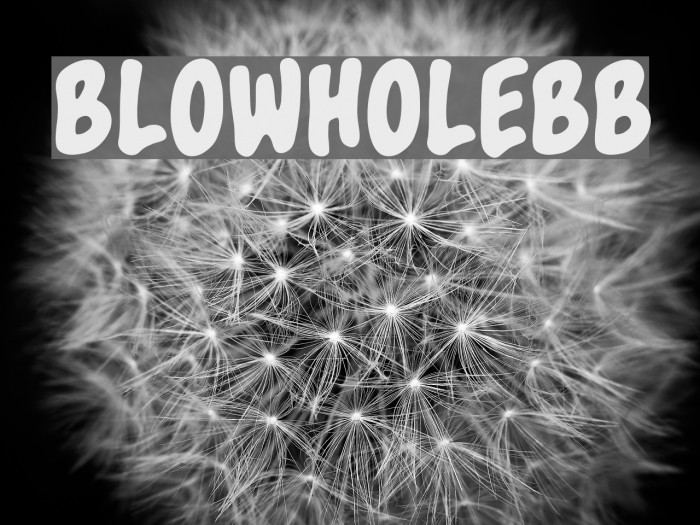 BlowholeBB Font examples