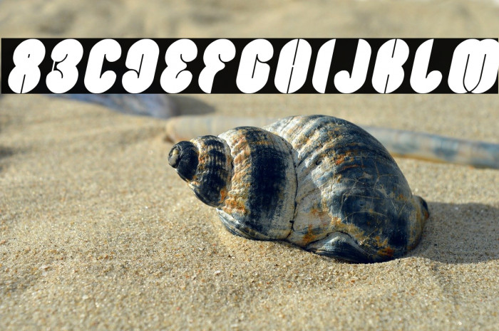 Blowing Bubble Italic Example 1