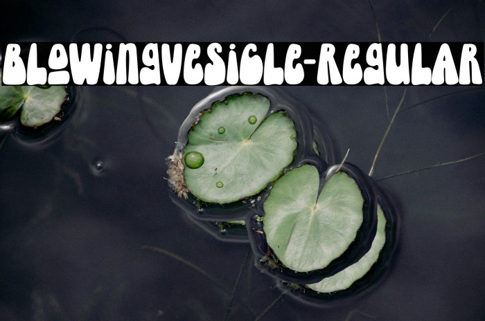 BlowingVesicle-Regular Example 1