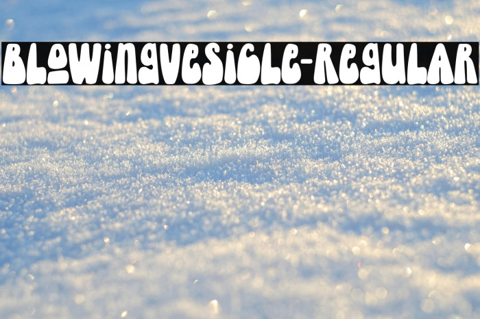 BlowingVesicle-Regular Example 2