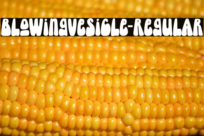 BlowingVesicle-Regular Example 3