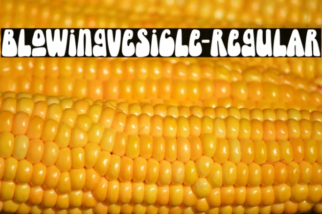 BlowingVesicle-Regular Example 3
