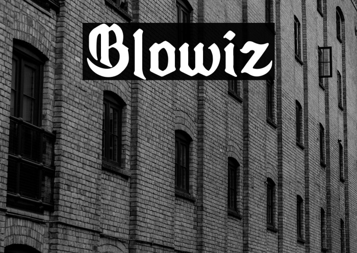 Blowiz Example 1