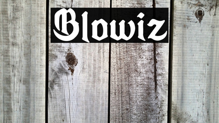 Blowiz Example 3