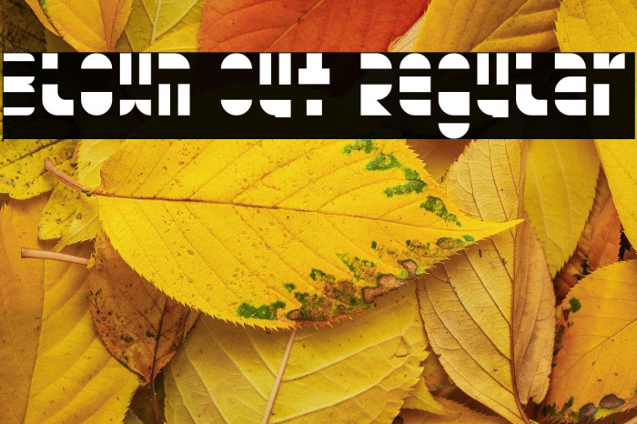 Blown Out Regular Example 2