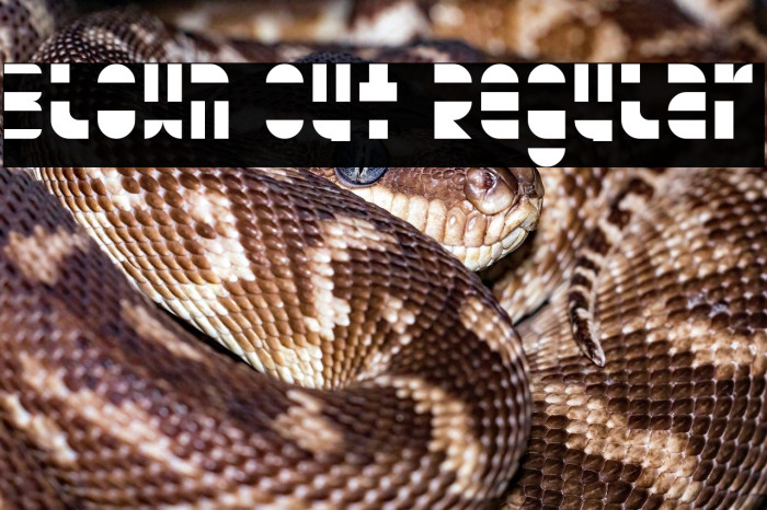 Blown Out Regular Example 3