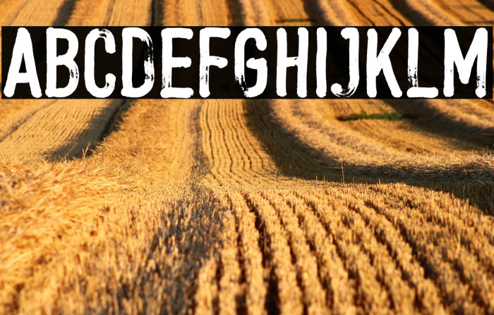 BlowstersDemo Example 2