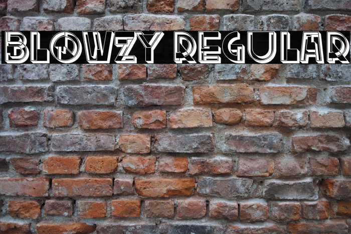 Blowzy Regular Example 3