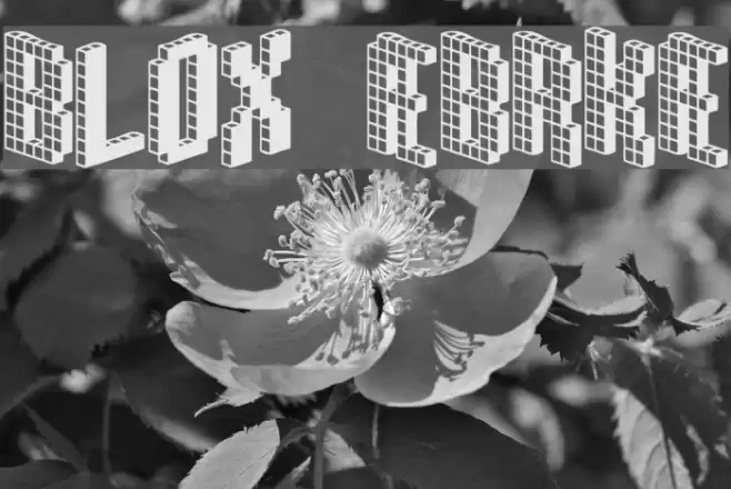 Blox [BRK] Font examples